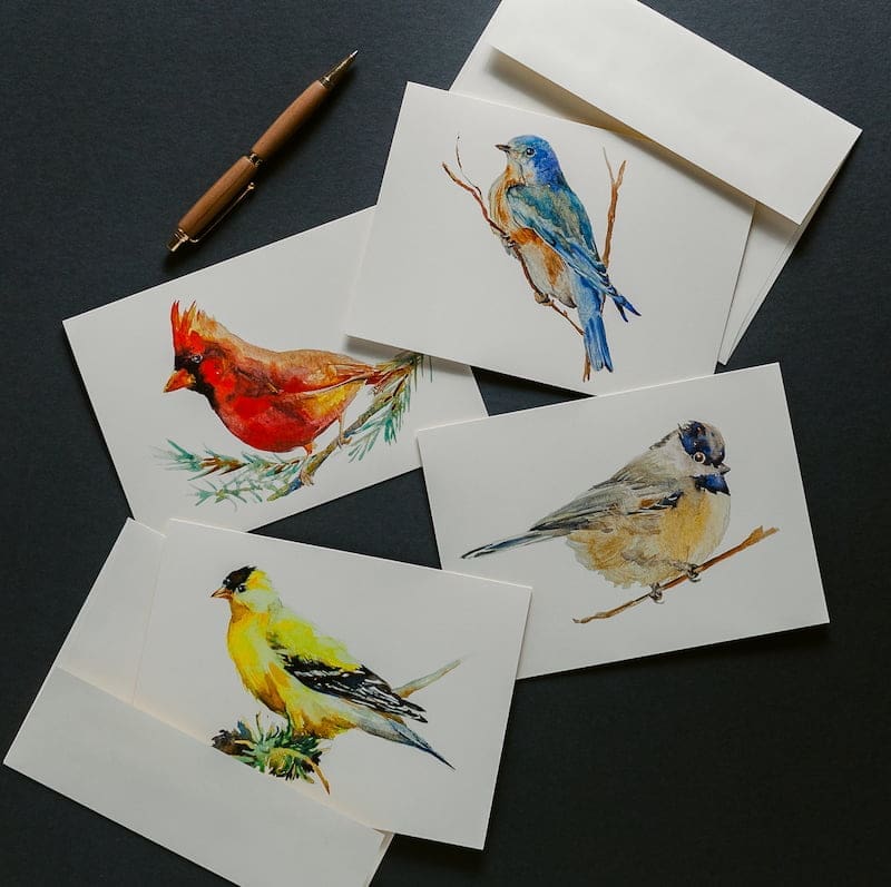 Birds Greeting Card Pack
