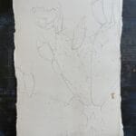 Pencil sketch of cactus painting