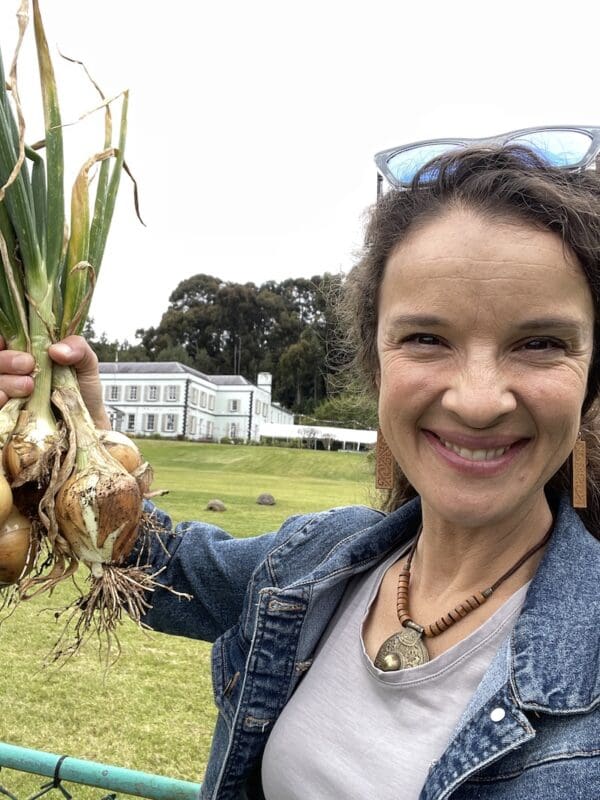 St Helena Onions